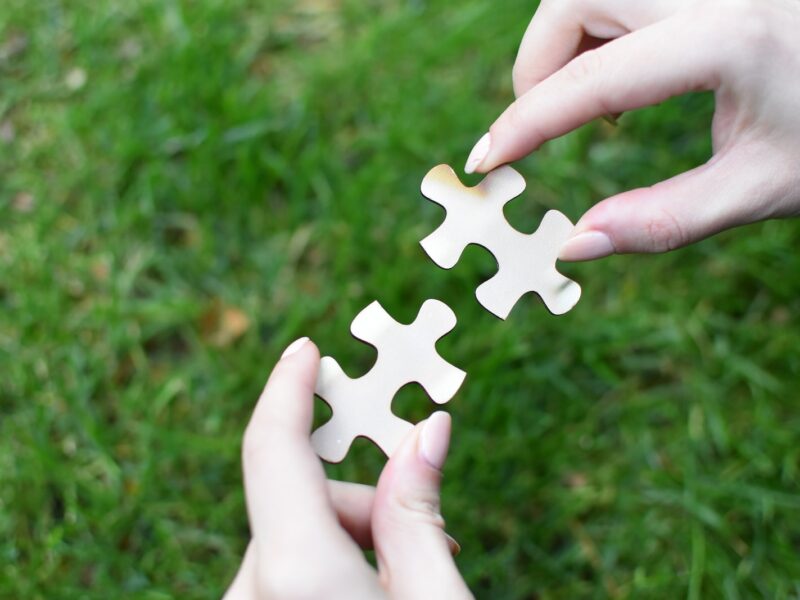 a person holding a piece of a puzzle in their hands